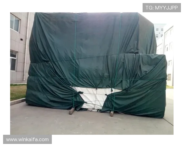 ag凯发国际游戏安全机制揭秘，保障每一位玩家的游戏公平与资金安全