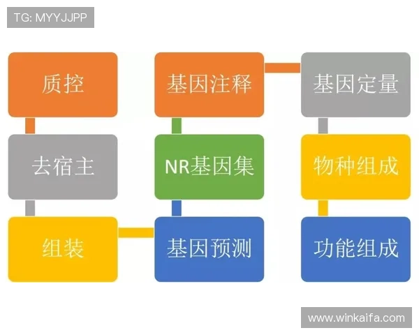 凯发直播官网下载安装流程详解,确保用户快速顺利完成软件安装 凯发直播官网下载安装流程详解,确保用户快速顺利完成软件安装